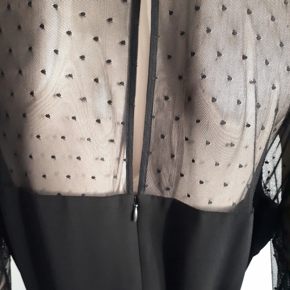 Hobbs London | Fitted Crepe and Lace Dress - Picture 9 of 14